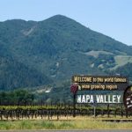 View from the Napa Valley Wine Train in Napa, CA 94558, while walking on a treadmill.