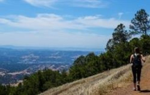 Hiking on Mt. Diablo in Mt. Diablo State Park in Walnut Creek, CA 94595