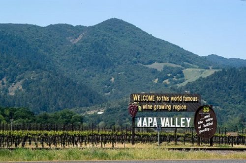 View from the Napa Valley Wine Train in Napa, CA 94558, while walking on a treadmill.